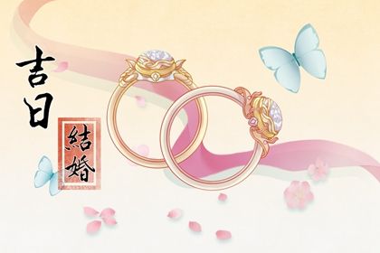 梅花特征和品质(梅花特征和品质(成语))