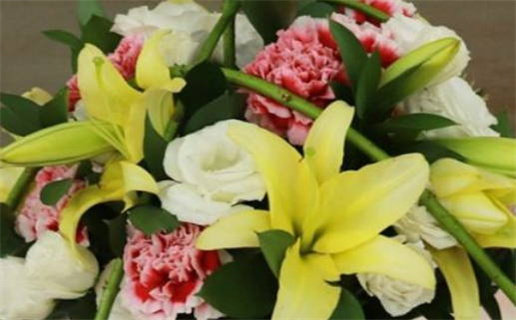 生肖鼠属火还是木(生肖鼠属火还是木)