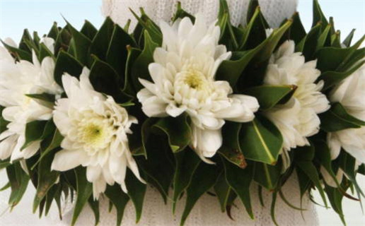 2019年属鼠的幸运头像(2019年属鼠的幸运头像图片)