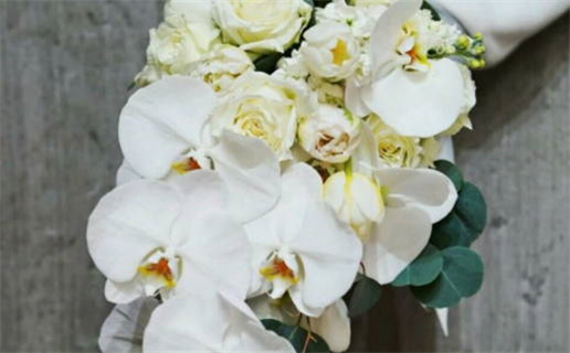 属鼠的生鼠蛇的宝宝好吗_属鼠的生鼠蛇的宝宝好吗女孩