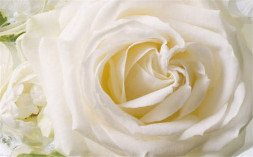 金牛座男会写小作文吗(金牛座男生喜欢小作文吗)