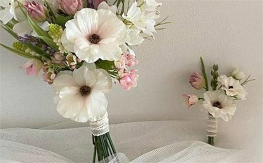 双子座女生买车贵吗(双子座女生买车贵吗知乎)