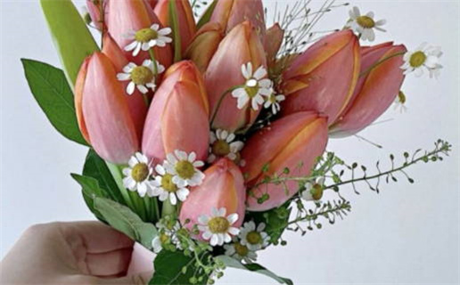 星蝶公主是天秤座吗_星蝶公主是天秤座吗