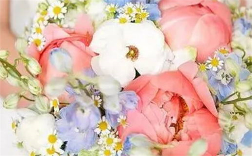 生肖鼠低调实力派(生肖鼠低调实力派)