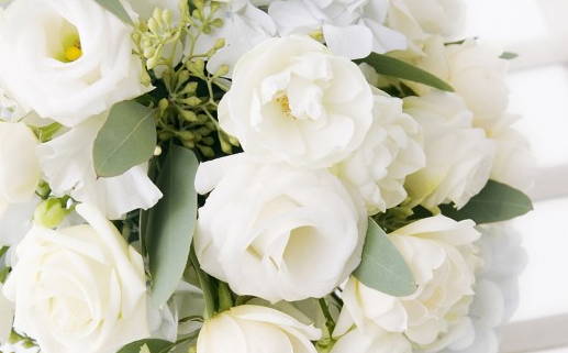 金牛座发动机缸盖是塑料吗(金牛座发动机缸盖是塑料吗)