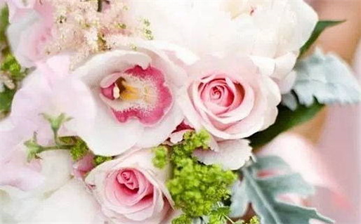 射手座的感恩与孝敬父母的真实表现解析