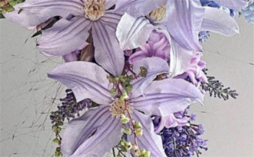 八字命理解析如何避免犯命影响运势