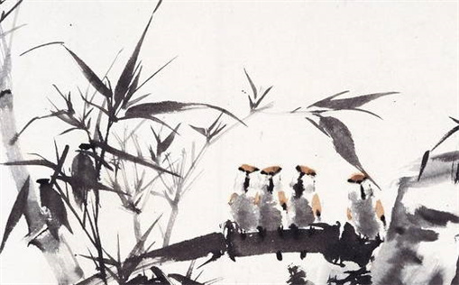 狮子座最适合养柴犬吗男生_狮子座最适合养柴犬吗男生