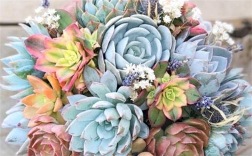 今日农历二〇二五年冬月廿八黄历登记结婚不适宜吗,领证吉日